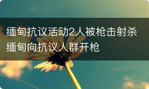 缅甸抗议活动2人被枪击射杀 缅甸向抗议人群开枪