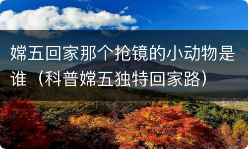 嫦五回家那个抢镜的小动物是谁（科普嫦五独特回家路）
