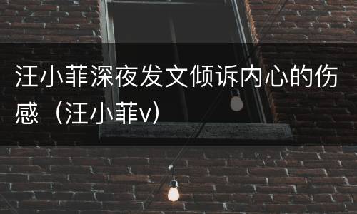 汪小菲深夜发文倾诉内心的伤感（汪小菲v）