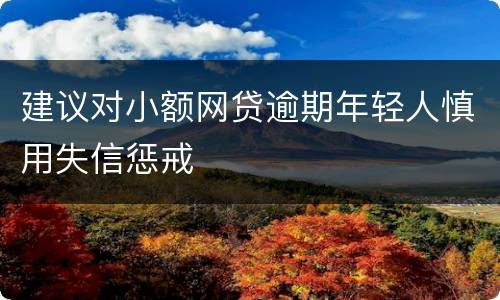 建议对小额网贷逾期年轻人慎用失信惩戒