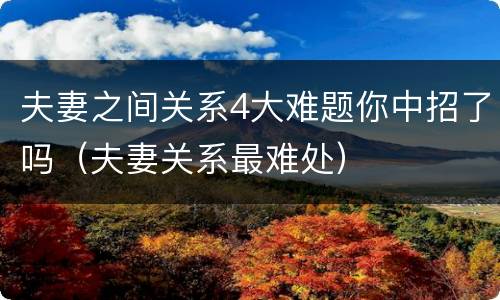 夫妻之间关系4大难题你中招了吗（夫妻关系最难处）