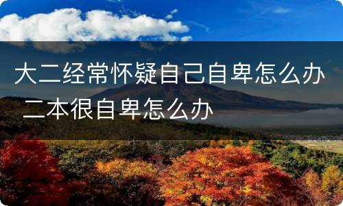大二经常怀疑自己自卑怎么办 二本很自卑怎么办