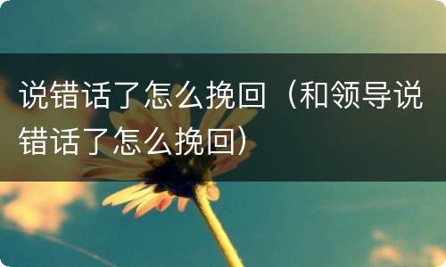 说错话了怎么挽回（和领导说错话了怎么挽回）