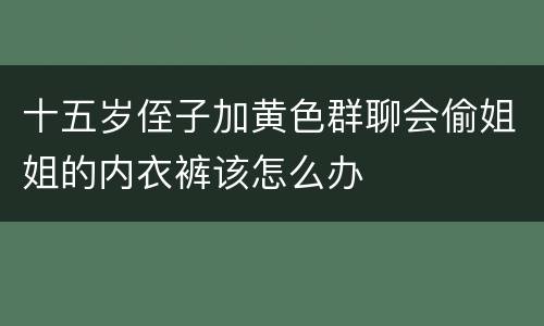 十五岁侄子加黄色群聊会偷姐姐的内衣裤该怎么办