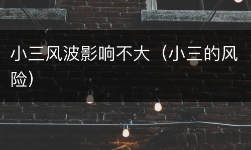 小三风波影响不大（小三的风险）