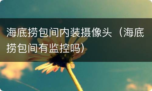 海底捞包间内装摄像头（海底捞包间有监控吗）