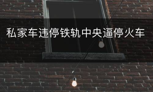 私家车违停铁轨中央逼停火车