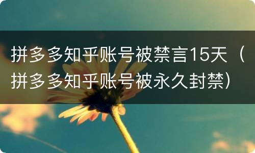 拼多多知乎账号被禁言15天（拼多多知乎账号被永久封禁）