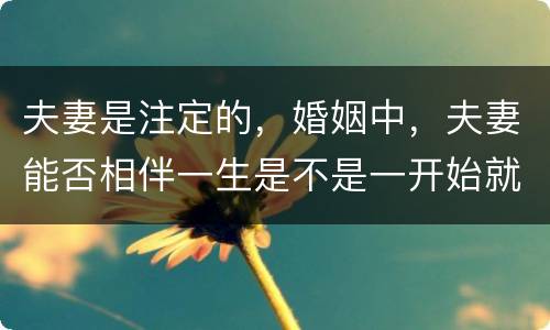 夫妻是注定的，婚姻中，夫妻能否相伴一生是不是一开始就注定了？