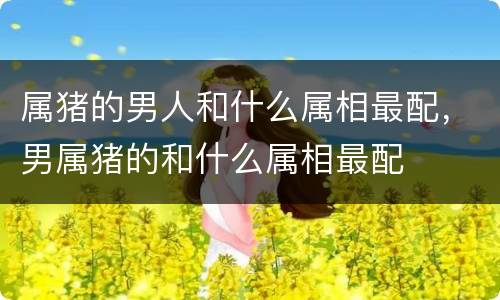 属猪的男人和什么属相最配，男属猪的和什么属相最配