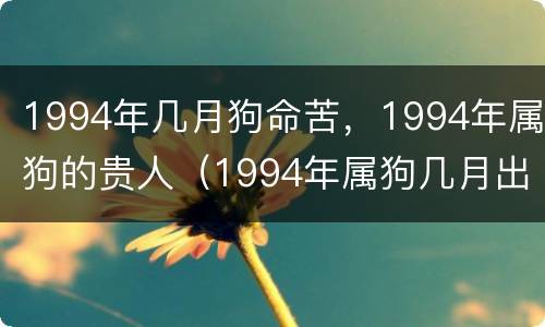 1994年几月狗命苦，1994年属狗的贵人（1994年属狗几月出生好）