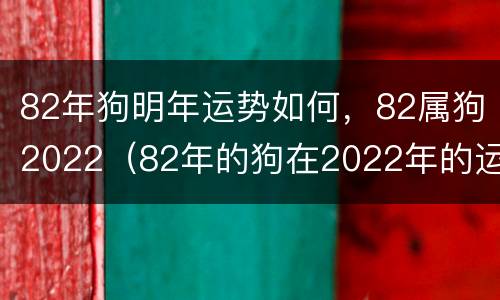 82年狗明年运势如何，82属狗2022（82年的狗在2022年的运势）