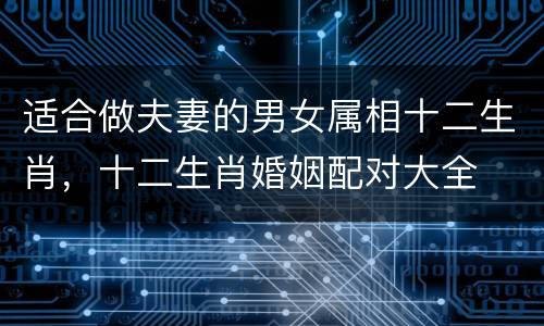 适合做夫妻的男女属相十二生肖，十二生肖婚姻配对大全