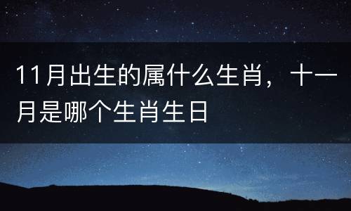 11月出生的属什么生肖，十一月是哪个生肖生日