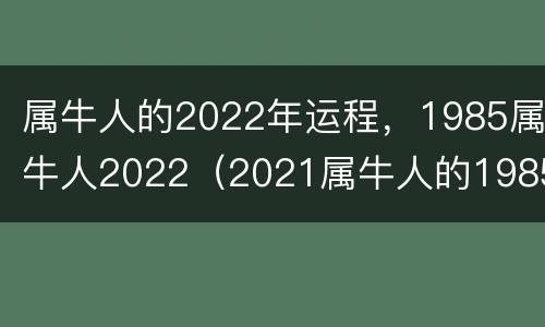 属牛人的2022年运程，1985属牛人2022（2021属牛人的1985全年运势如何）