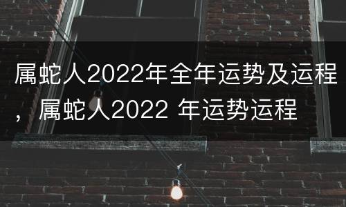 属蛇人2022年全年运势及运程，属蛇人2022 年运势运程