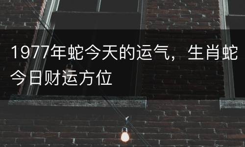 1977年蛇今天的运气，生肖蛇今日财运方位