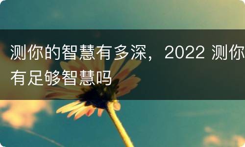 测你的智慧有多深，2022 测你有足够智慧吗