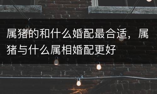 属猪的和什么婚配最合适，属猪与什么属相婚配更好