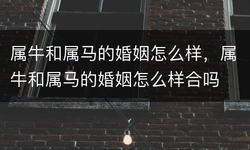 属牛和属马的婚姻怎么样，属牛和属马的婚姻怎么样合吗