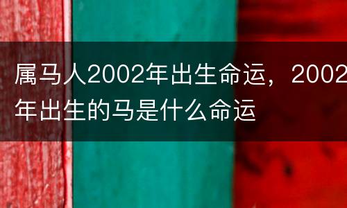 属马人2002年出生命运，2002年出生的马是什么命运