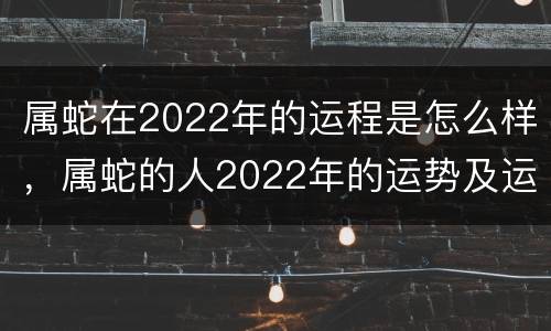 属蛇在2022年的运程是怎么样，属蛇的人2022年的运势及运程每月