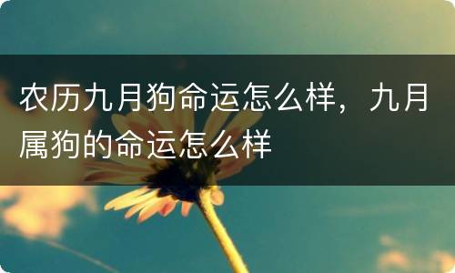 农历九月狗命运怎么样，九月属狗的命运怎么样