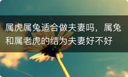 属虎属兔适合做夫妻吗，属兔和属老虎的结为夫妻好不好