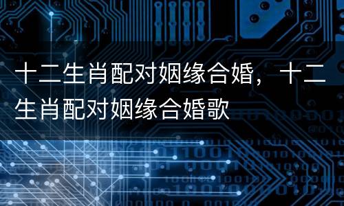 十二生肖配对姻缘合婚，十二生肖配对姻缘合婚歌