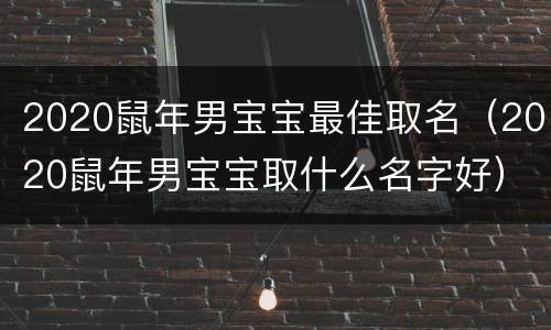 2020鼠年男宝宝最佳取名（2020鼠年男宝宝取什么名字好）