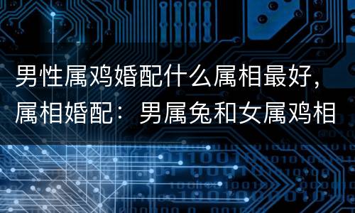 男性属鸡婚配什么属相最好，属相婚配：男属兔和女属鸡相配吗