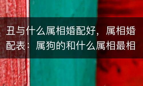 丑与什么属相婚配好，属相婚配表：属狗的和什么属相最相配