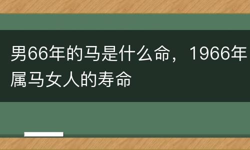 男66年的马是什么命，1966年属马女人的寿命