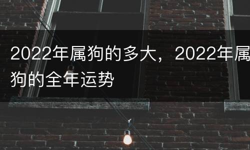 2022年属狗的多大，2022年属狗的全年运势