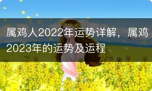 属鸡人2022年运势详解，属鸡2023年的运势及运程