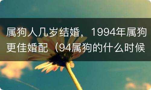 属狗人几岁结婚，1994年属狗更佳婚配（94属狗的什么时候结婚）