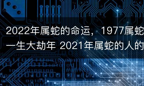 2022年属蛇的命运，1977属蛇一生大劫年 2021年属蛇的人的全年运势 1977年