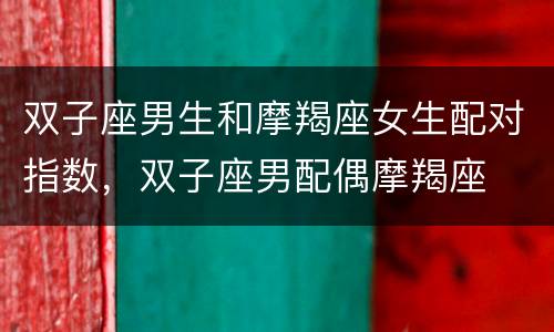 双子座男生和摩羯座女生配对指数，双子座男配偶摩羯座