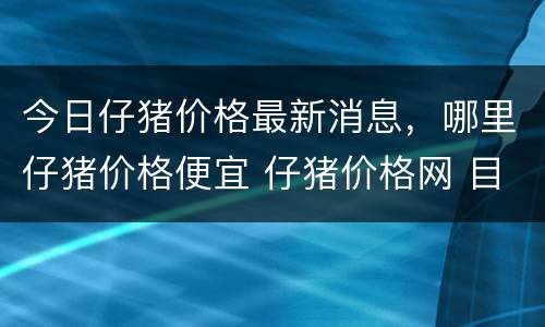 今日仔猪价格最新消息，哪里仔猪价格便宜 仔猪价格网 目前仔猪价