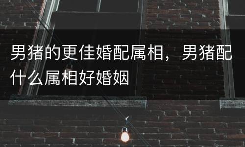 男猪的更佳婚配属相，男猪配什么属相好婚姻