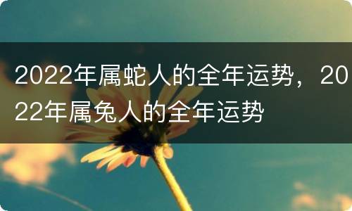 2022年属蛇人的全年运势，2022年属兔人的全年运势