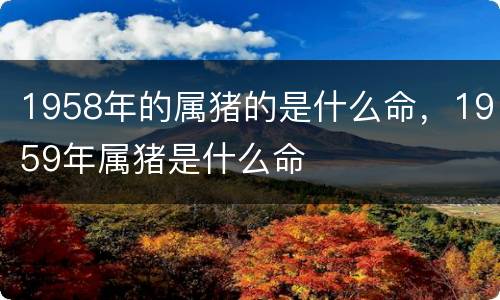 1958年的属猪的是什么命，1959年属猪是什么命