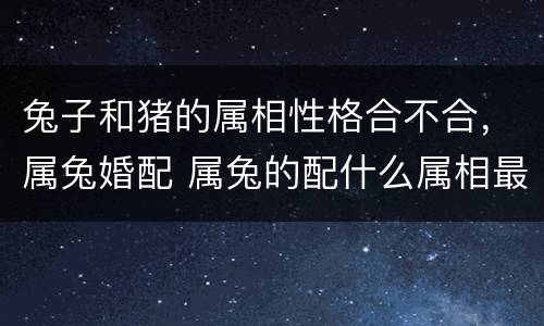 兔子和猪的属相性格合不合，属兔婚配 属兔的配什么属相最好