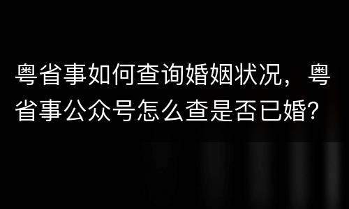 粤省事如何查询婚姻状况，粤省事公众号怎么查是否已婚？