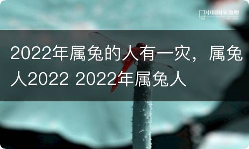 2022年属兔的人有一灾，属兔人2022 2022年属兔人