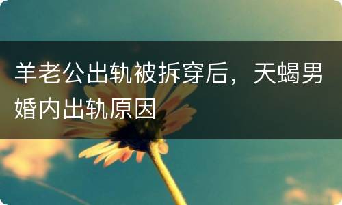 羊老公出轨被拆穿后，天蝎男婚内出轨原因