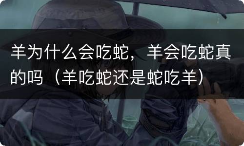 羊为什么会吃蛇，羊会吃蛇真的吗（羊吃蛇还是蛇吃羊）