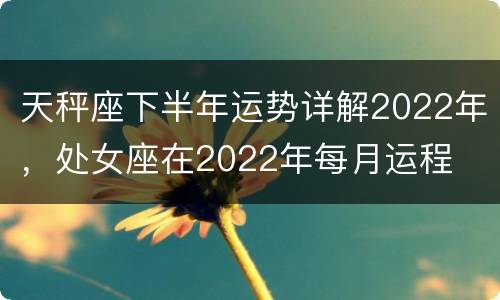 天秤座下半年运势详解2022年，处女座在2022年每月运程
