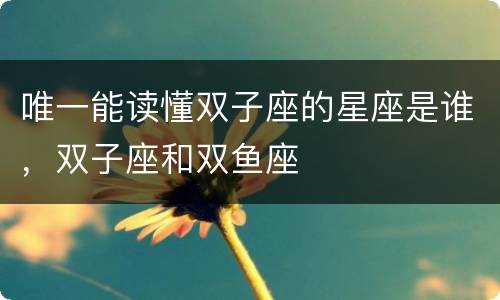 唯一能读懂双子座的星座是谁，双子座和双鱼座