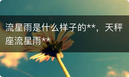 流星雨是什么样子的**，天秤座流星雨**